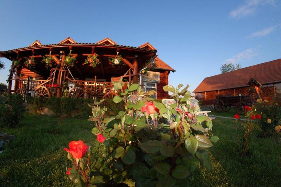 Bed and Breakfast Roenk-Wellness Panzio Mezopeterd Екстер'єр фото